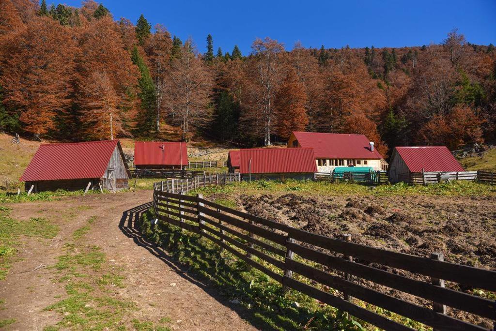 Lodge Dulovic - Katun Potoci