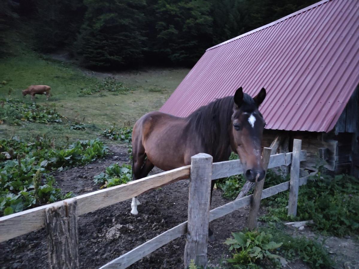 Dulovic - Katun Potoci Lodge